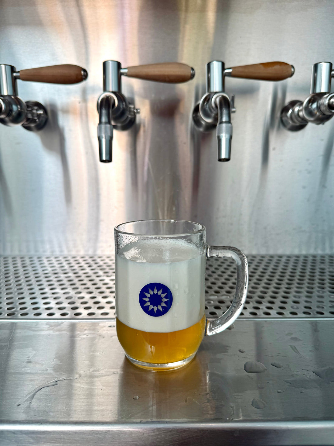 Kölsch is Back!