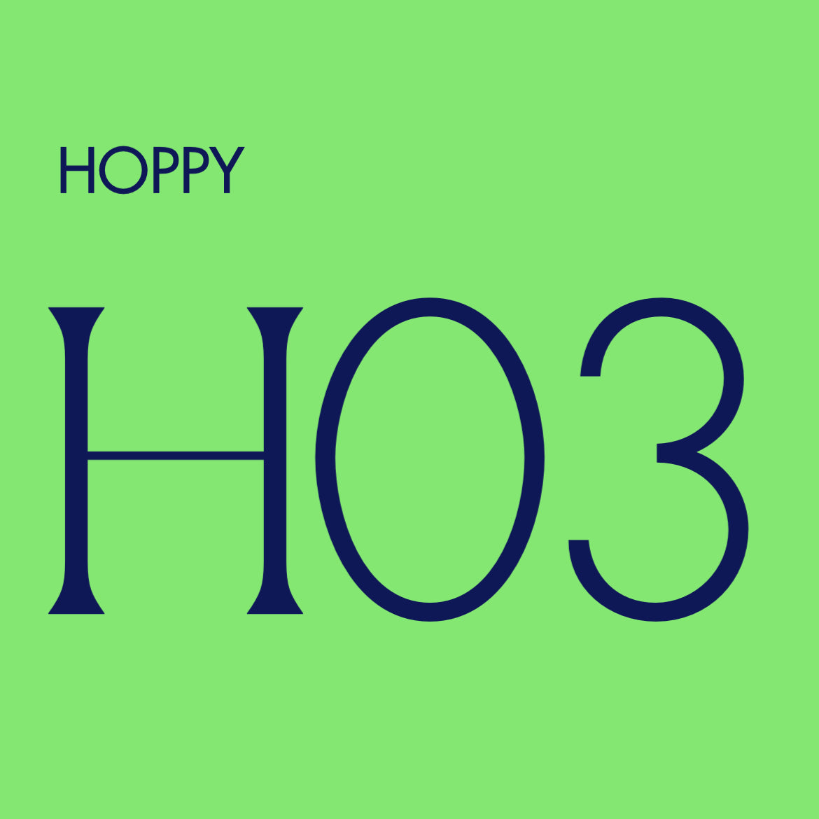 HOPPY 03 NY PALE ALE 4-PACK