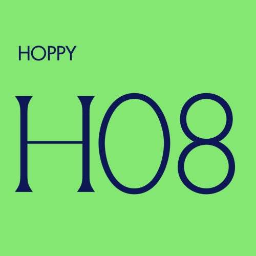 HOPPY 08 WEST COAST IPA 4-PACK